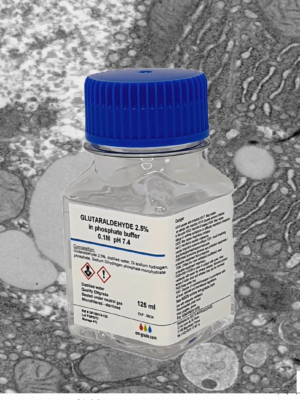 Glutaraldehyde in Buffer - Ready to use
