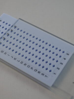 Antistatic grid storage box for 100 TEM grids
